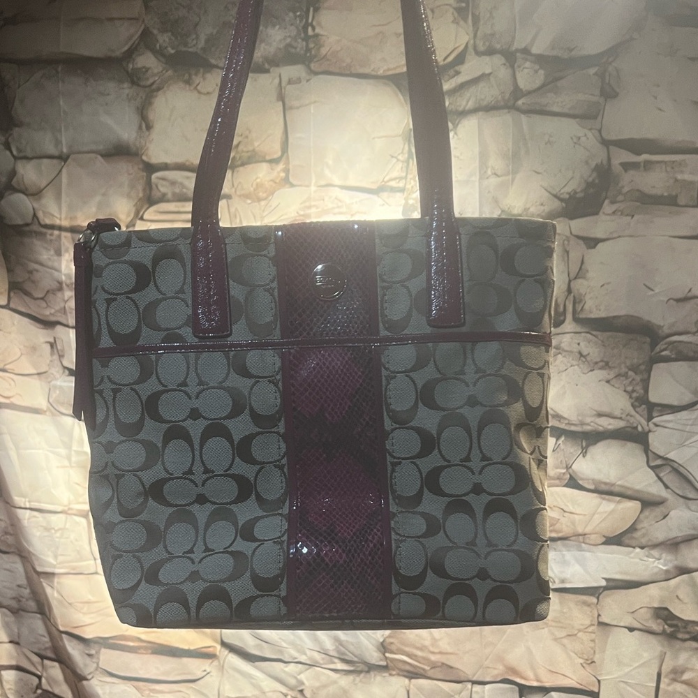 Coach Tan and Fuschia New with Coach card inside